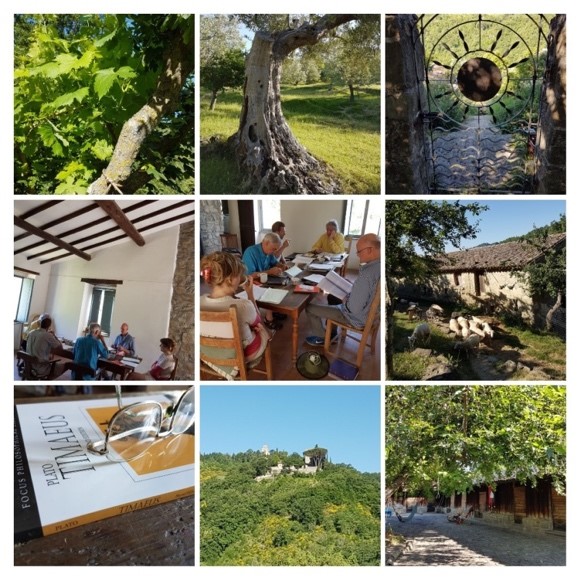 Scenes from the farm in Umbria