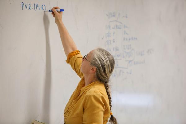 Professor Michele Friend writes on a white board